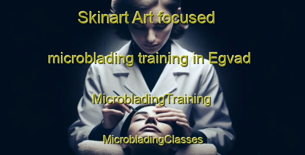 Skinart Art-focused microblading training in Egvad | #MicrobladingTraining #MicrobladingClasses #SkinartTraining-Denmark