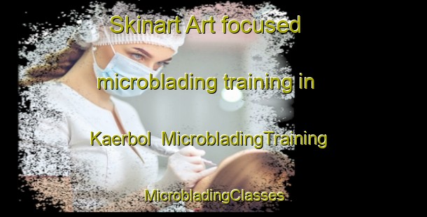 Skinart Art-focused microblading training in Kaerbol | #MicrobladingTraining #MicrobladingClasses #SkinartTraining-Denmark