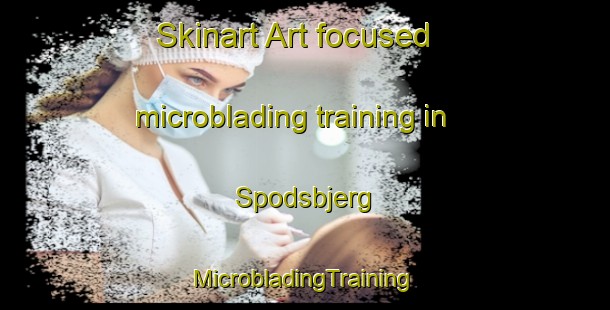 Skinart Art-focused microblading training in Spodsbjerg | #MicrobladingTraining #MicrobladingClasses #SkinartTraining-Denmark