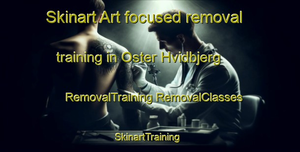 Skinart Art-focused removal training in Oster Hvidbjerg | #RemovalTraining #RemovalClasses #SkinartTraining-Denmark