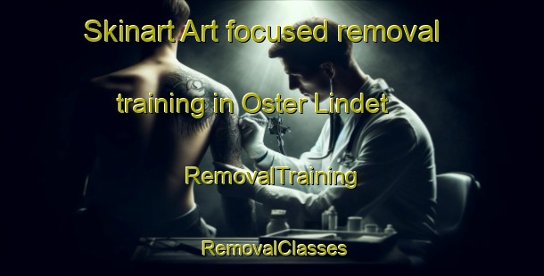 Skinart Art-focused removal training in Oster Lindet | RemovalTraining | RemovalClasses | SkinartTraining-Denmark