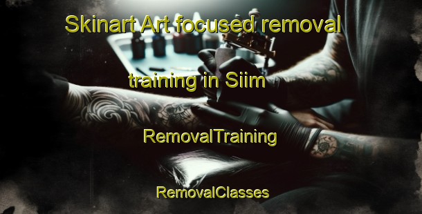 Skinart Art-focused removal training in Siim | RemovalTraining | RemovalClasses | SkinartTraining-Denmark