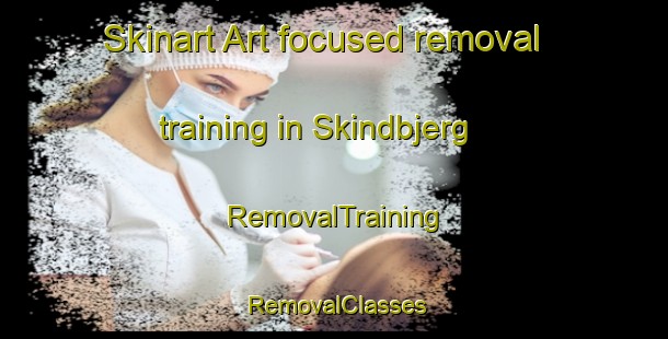 Skinart Art-focused removal training in Skindbjerg | RemovalTraining | RemovalClasses | SkinartTraining-Denmark