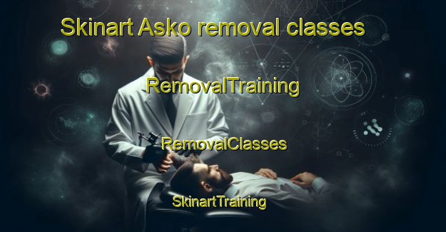 Skinart Asko removal classes | RemovalTraining | RemovalClasses | SkinartTraining-Denmark