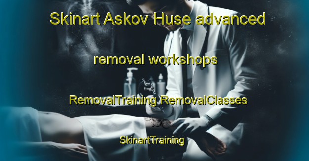 Skinart Askov Huse advanced removal workshops | #RemovalTraining #RemovalClasses #SkinartTraining-Denmark