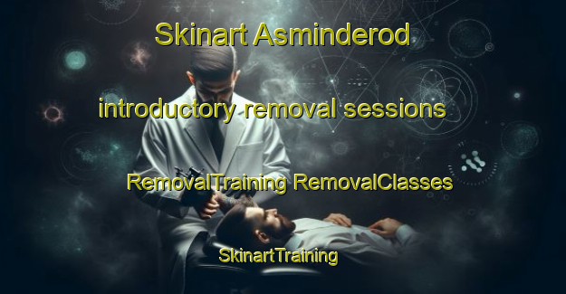 Skinart Asminderod introductory removal sessions | #RemovalTraining #RemovalClasses #SkinartTraining-Denmark