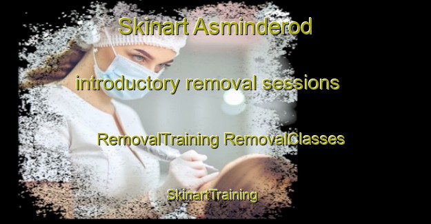 Skinart Asminderod introductory removal sessions | #RemovalTraining #RemovalClasses #SkinartTraining-Denmark