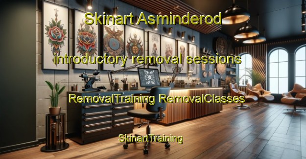 Skinart Asminderod introductory removal sessions | #RemovalTraining #RemovalClasses #SkinartTraining-Denmark