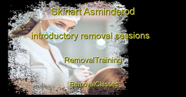 Skinart Asminderod introductory removal sessions | RemovalTraining | RemovalClasses | SkinartTraining-Denmark