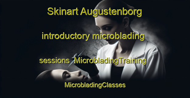 Skinart Augustenborg introductory microblading sessions | #MicrobladingTraining #MicrobladingClasses #SkinartTraining-Denmark