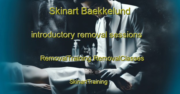 Skinart Baekkelund introductory removal sessions | #RemovalTraining #RemovalClasses #SkinartTraining-Denmark