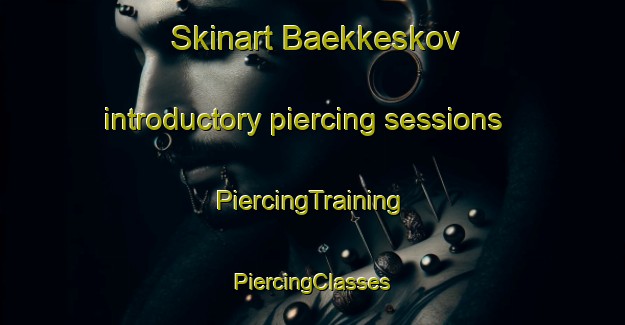 Skinart Baekkeskov introductory piercing sessions | #PiercingTraining #PiercingClasses #SkinartTraining-Denmark