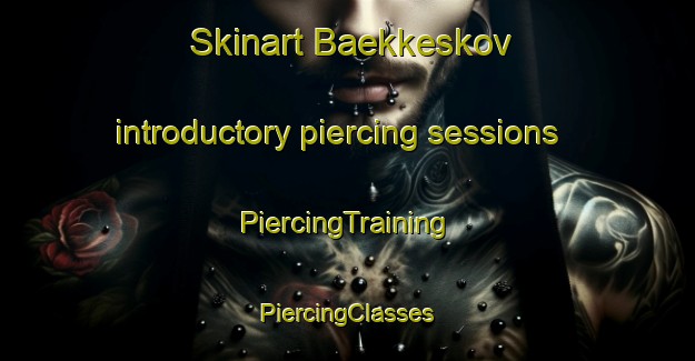 Skinart Baekkeskov introductory piercing sessions | #PiercingTraining #PiercingClasses #SkinartTraining-Denmark