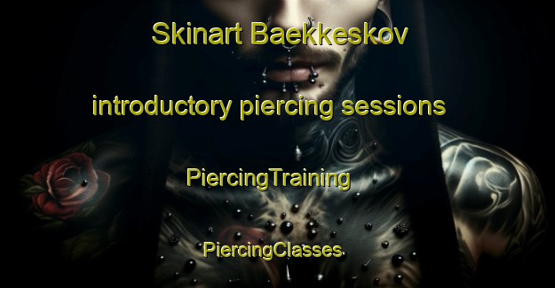Skinart Baekkeskov introductory piercing sessions | PiercingTraining | PiercingClasses | SkinartTraining-Denmark