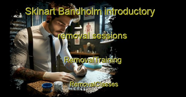 Skinart Bandholm introductory removal sessions | RemovalTraining | RemovalClasses | SkinartTraining-Denmark