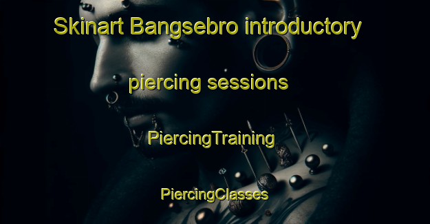 Skinart Bangsebro introductory piercing sessions | #PiercingTraining #PiercingClasses #SkinartTraining-Denmark