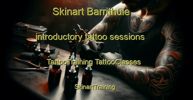 Skinart Barrithule introductory tattoo sessions | #TattooTraining #TattooClasses #SkinartTraining-Denmark