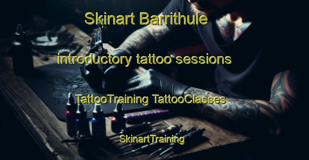 Skinart Barrithule introductory tattoo sessions | #TattooTraining #TattooClasses #SkinartTraining-Denmark