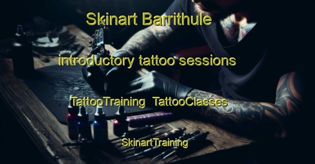 Skinart Barrithule introductory tattoo sessions | TattooTraining | TattooClasses | SkinartTraining-Denmark