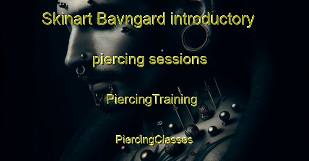 Skinart Bavngard introductory piercing sessions | #PiercingTraining #PiercingClasses #SkinartTraining-Denmark