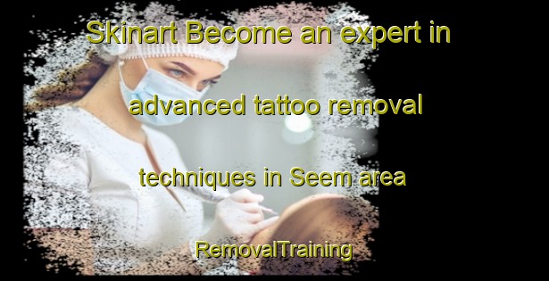 Skinart Become an expert in advanced tattoo removal techniques in Seem area | RemovalTraining | RemovalClasses | SkinartTraining-Denmark