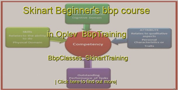 Skinart Beginner's bbp course in Oplev | BbpTraining | BbpClasses | SkinartTraining-Denmark