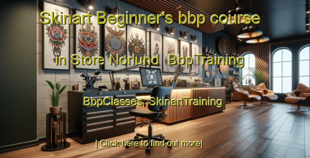 Skinart Beginner's bbp course in Store Norlund | BbpTraining | BbpClasses | SkinartTraining-Denmark