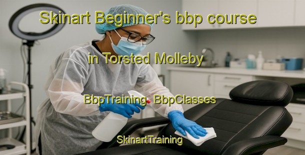 Skinart Beginner's bbp course in Torsted Molleby | BbpTraining | BbpClasses | SkinartTraining-Denmark