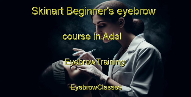 Skinart Beginner's eyebrow course in Adal | EyebrowTraining | EyebrowClasses | SkinartTraining-Denmark