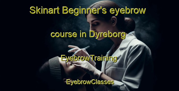 Skinart Beginner's eyebrow course in Dyreborg | EyebrowTraining | EyebrowClasses | SkinartTraining-Denmark