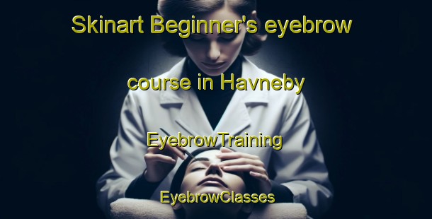 Skinart Beginner's eyebrow course in Havneby | EyebrowTraining | EyebrowClasses | SkinartTraining-Denmark