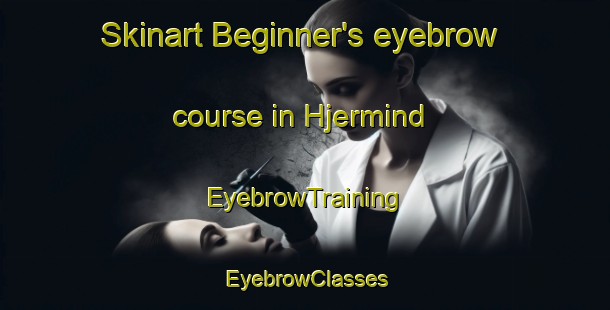 Skinart Beginner's eyebrow course in Hjermind | EyebrowTraining | EyebrowClasses | SkinartTraining-Denmark