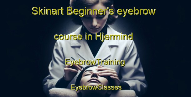 Skinart Beginner's eyebrow course in Hjermind | EyebrowTraining | EyebrowClasses | SkinartTraining-Denmark