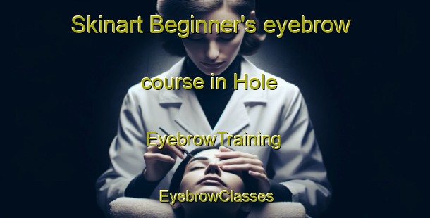 Skinart Beginner's eyebrow course in Hole | EyebrowTraining | EyebrowClasses | SkinartTraining-Denmark