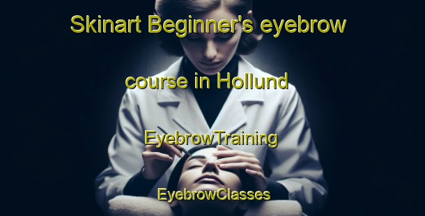 Skinart Beginner's eyebrow course in Hollund | EyebrowTraining | EyebrowClasses | SkinartTraining-Denmark
