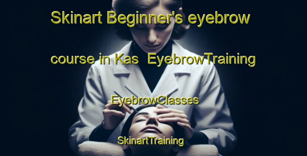 Skinart Beginner's eyebrow course in Kas | EyebrowTraining | EyebrowClasses | SkinartTraining-Denmark