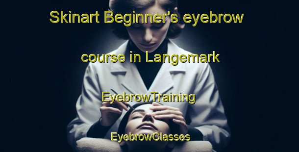 Skinart Beginner's eyebrow course in Langemark | EyebrowTraining | EyebrowClasses | SkinartTraining-Denmark