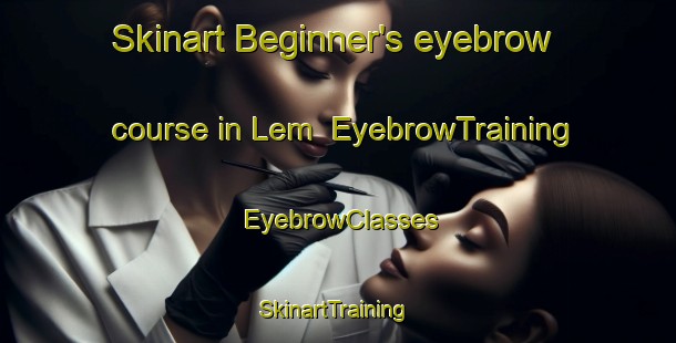 Skinart Beginner's eyebrow course in Lem | EyebrowTraining | EyebrowClasses | SkinartTraining-Denmark