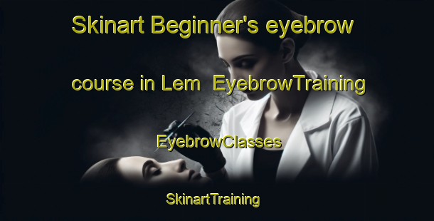Skinart Beginner's eyebrow course in Lem | EyebrowTraining | EyebrowClasses | SkinartTraining-Denmark