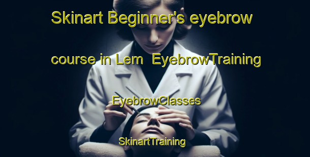 Skinart Beginner's eyebrow course in Lem | EyebrowTraining | EyebrowClasses | SkinartTraining-Denmark