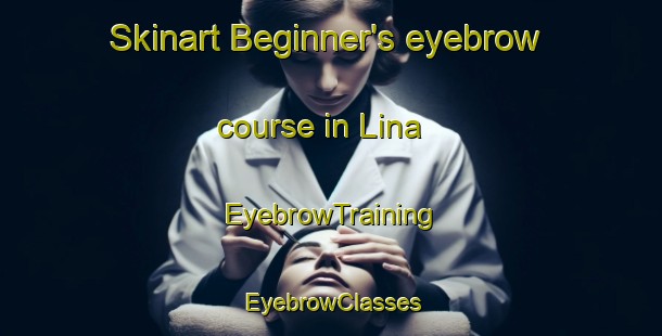 Skinart Beginner's eyebrow course in Lina | EyebrowTraining | EyebrowClasses | SkinartTraining-Denmark