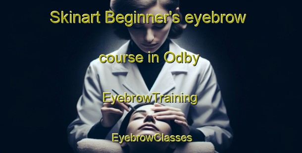 Skinart Beginner's eyebrow course in Odby | EyebrowTraining | EyebrowClasses | SkinartTraining-Denmark