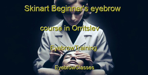 Skinart Beginner's eyebrow course in Orritslev | EyebrowTraining | EyebrowClasses | SkinartTraining-Denmark