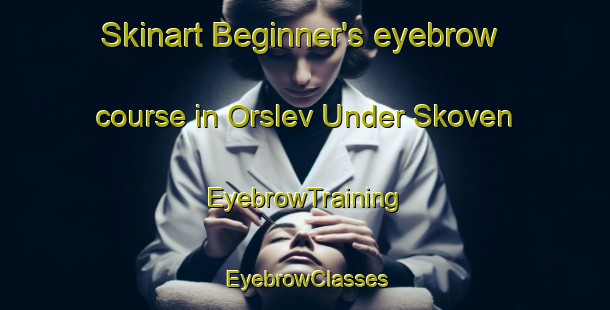 Skinart Beginner's eyebrow course in Orslev Under Skoven | EyebrowTraining | EyebrowClasses | SkinartTraining-Denmark