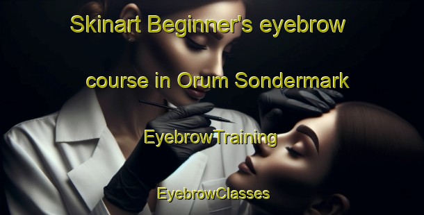 Skinart Beginner's eyebrow course in Orum Sondermark | EyebrowTraining | EyebrowClasses | SkinartTraining-Denmark