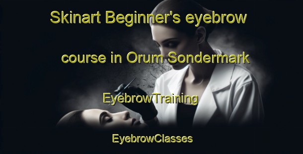 Skinart Beginner's eyebrow course in Orum Sondermark | EyebrowTraining | EyebrowClasses | SkinartTraining-Denmark