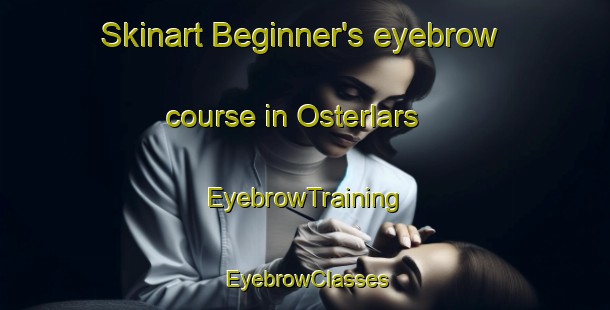 Skinart Beginner's eyebrow course in Osterlars | EyebrowTraining | EyebrowClasses | SkinartTraining-Denmark
