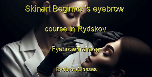 Skinart Beginner's eyebrow course in Rydskov | EyebrowTraining | EyebrowClasses | SkinartTraining-Denmark