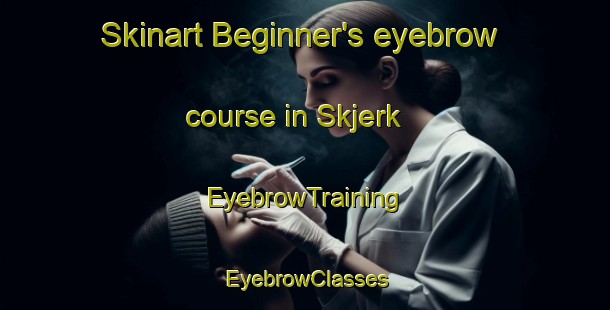 Skinart Beginner's eyebrow course in Skjerk | EyebrowTraining | EyebrowClasses | SkinartTraining-Denmark