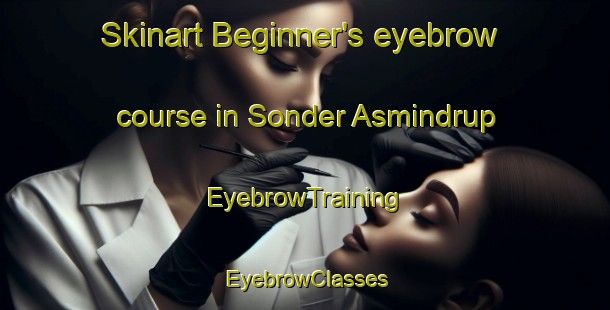 Skinart Beginner's eyebrow course in Sonder Asmindrup | EyebrowTraining | EyebrowClasses | SkinartTraining-Denmark